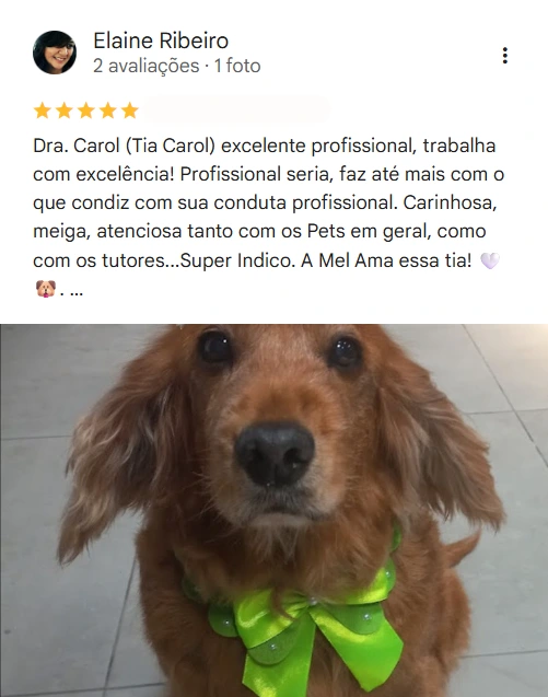 Avaliação 2